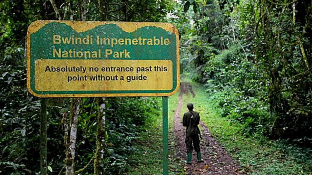 bwindi park