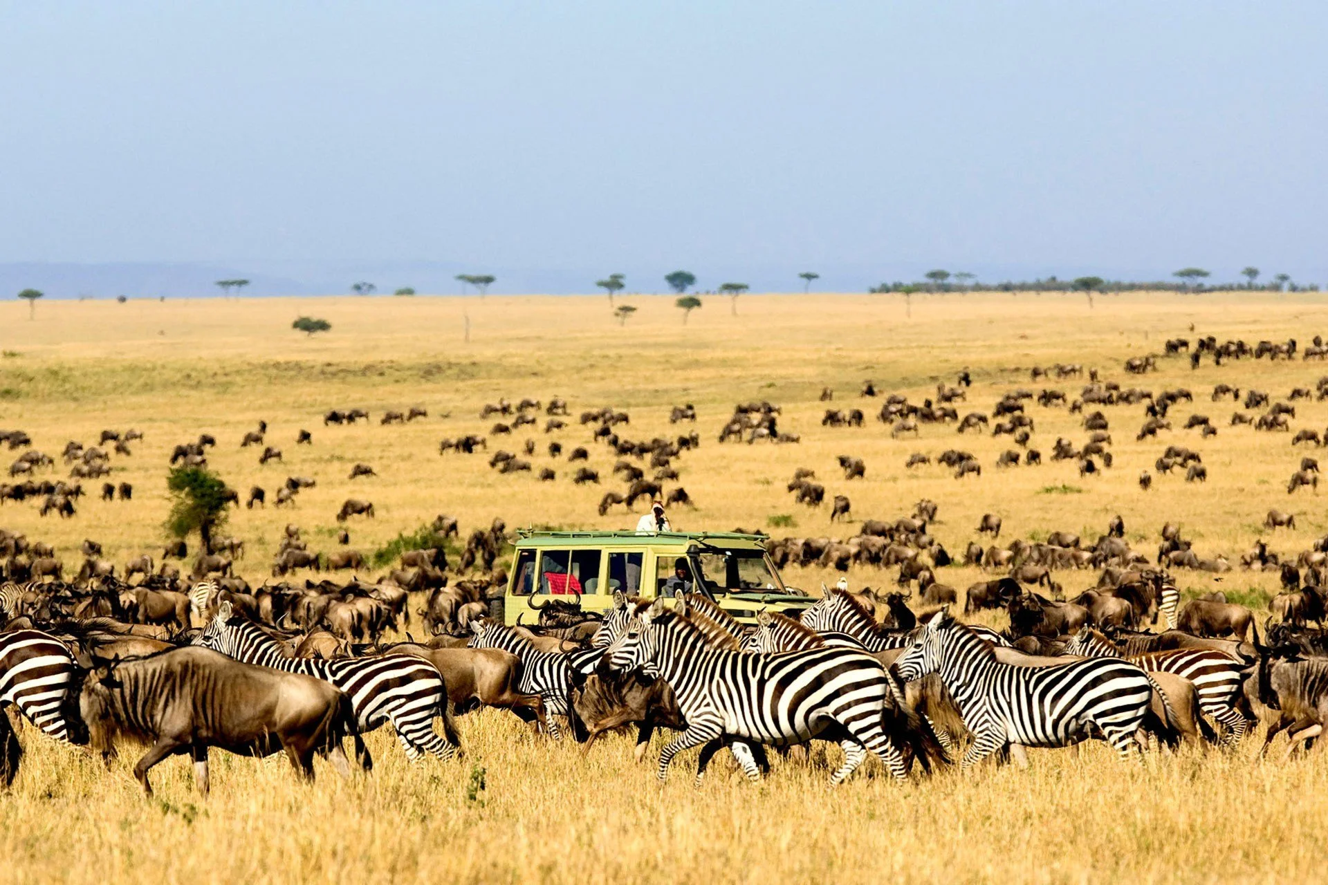 kidepo national park